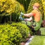 landscaping services in rochford 09